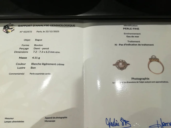 888583c1-8d43-4873-21eb-28e3790a1100