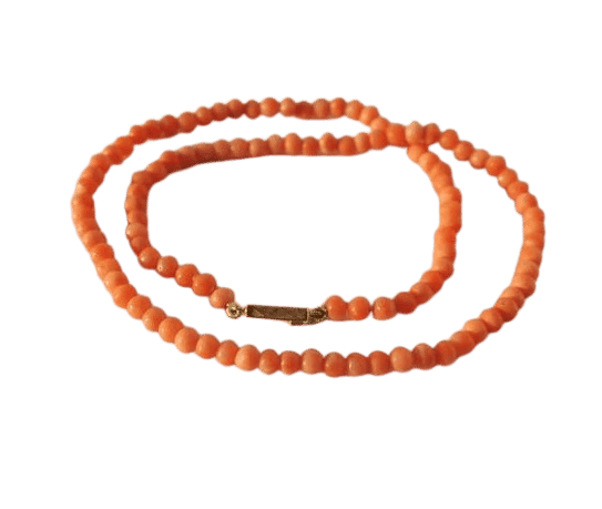 b494d6c3-d35a-4848-5e5a-845879378700