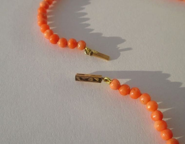 d0428ed0-504e-4d5a-7c1f-441fd7974c00