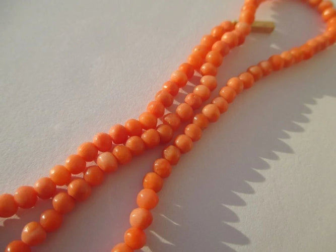 fa46bd34-8d0d-46cc-3edf-7ca82d540700