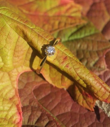 e5c00837-3563-48d3-fb37-b722fb32ba00