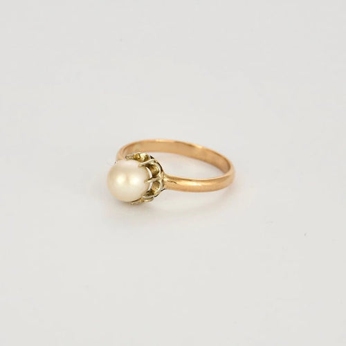 c3220457-1332-4e96-5bd4-dc440a87b500