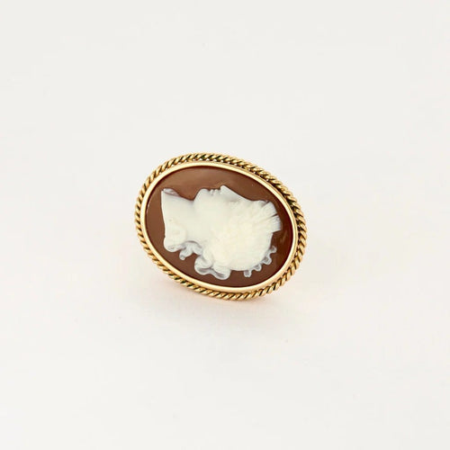 Boucles d'oreilles Boucles d’oreilles clips camées vintage en or jaune 18 carats 58 Facettes