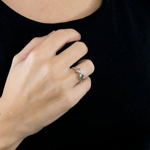 855879f4-af77-4448-0a95-09f617af9200