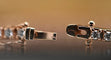 Bracelet Bracelet tennis en or rose 18 carats et diamants 58 Facettes