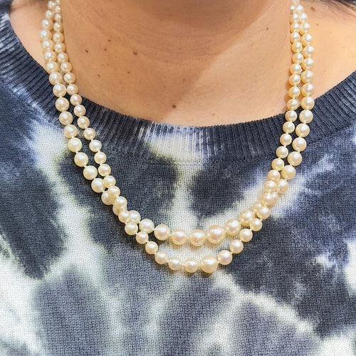 5dd43b38-a85d-4ba7-7aa9-9a9c2b743000