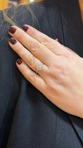 0ad352b0-e209-4e5d-d69e-9cac502b3c00