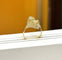 Bague 54 Bague Toi et Moi double cœur en or jaune et diamants 58 Facettes