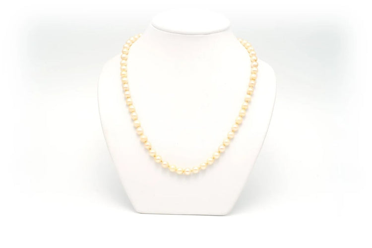 3a1f7a6b-4420-409c-d6da-e9a9f1692700