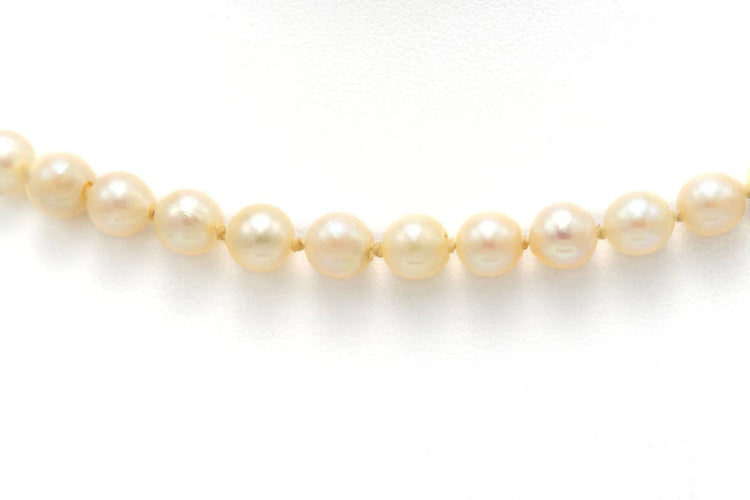 f70c1d87-c936-4195-5f42-891698e5a600