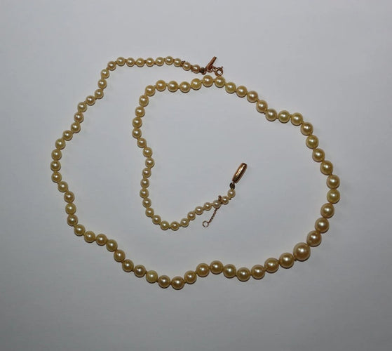 aafe2a02-33c9-48e9-d2b8-220389dd0c00