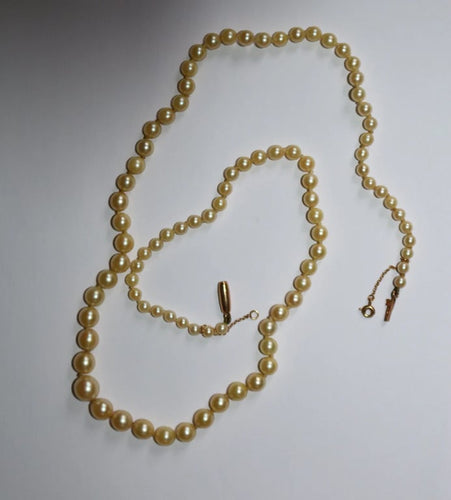 5e4c4fd5-a81a-4fb7-695f-7b4e02078400