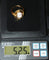 Bague 55 Bague ancienne camée coquille en or jaune 18 carats 58 Facettes 590