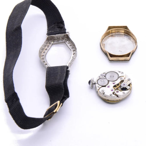 00c309cd-d55f-437a-c8bb-c5f2029dca00