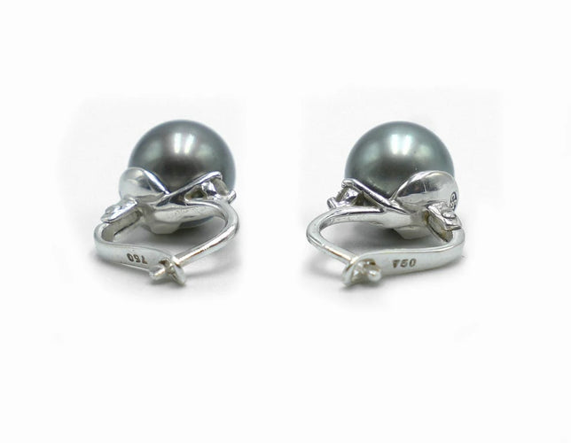 e8635464-9e5f-4326-d2da-da5939c8ca00