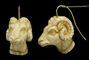Boucles d'oreilles Boucles d’oreilles anciennes en ivoire sculpté et or 14 carats 58 Facettes 7276