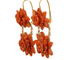 Boucles d'oreilles Boucles d’oreilles antiques en or jaune et corail 58 Facettes 7692