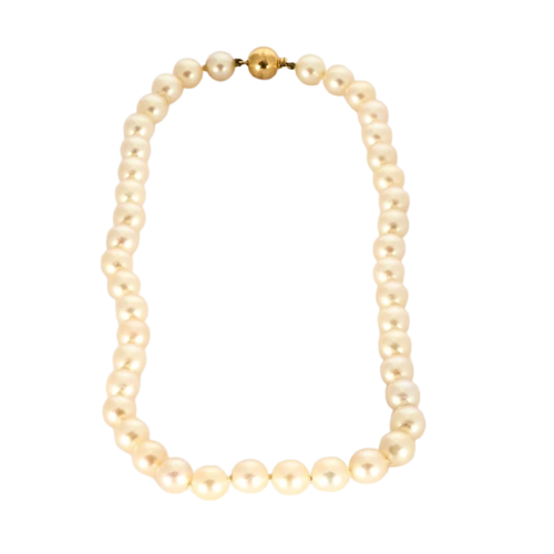 9ead83db-0b6e-4d44-88f4-308ba9401600