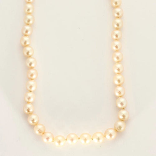 18b77fe9-9aa7-4ccb-ae03-be53a248e600