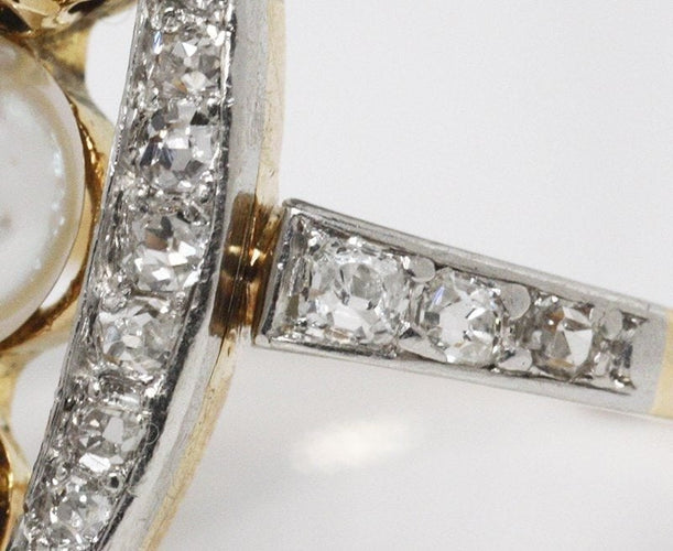 66aac053-978e-4d66-b659-bf81f346ad00