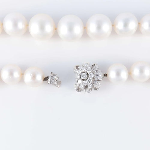 9aeec8cd-34f5-4035-d852-3bfb442da800