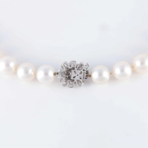 51536ba0-88fe-4d96-ecb2-4b478feb1300