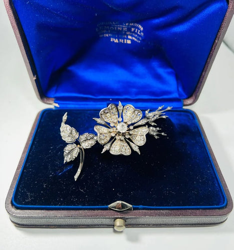 5e01071b-4a06-4444-3493-6ed82ee7cc00