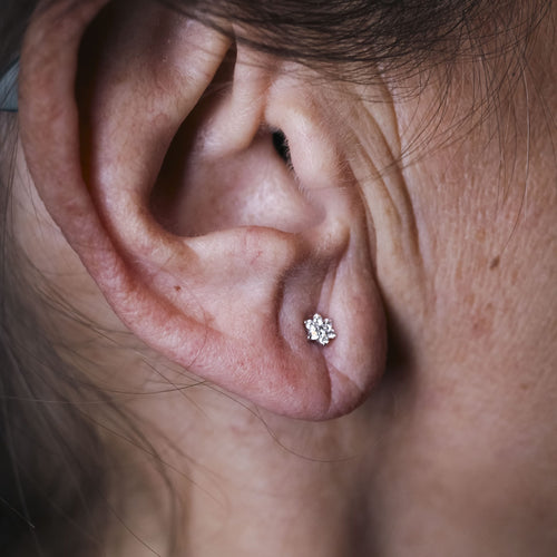 ad57b02f-079b-4930-88f6-a9455e601400