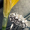 Bague 53 Bague style Art déco en or blanc 18 carats et diamants 58 Facettes 20-263-57