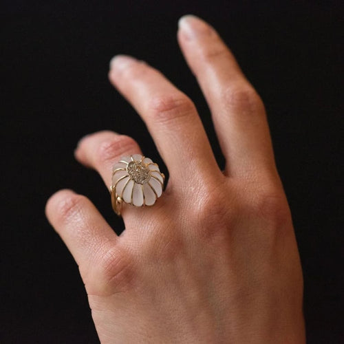 cb603521-722e-4ad5-7664-8e486cdc6d00