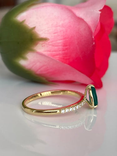 d1bddbb5-d832-4fca-a3c7-02449f0ba000