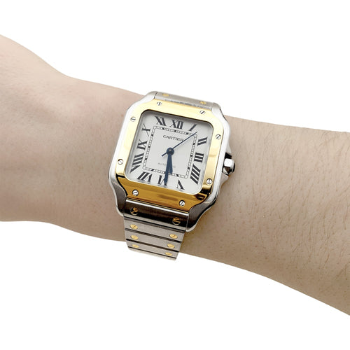 sjpvr1lp9jbhvbvryses