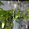 Pendentif Époque victorienne - Pendentif croissant de lune en or jaune 14 carats, saphirs et perles 58 Facettes