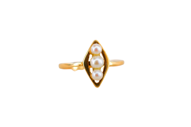 ae196bf9-19c3-4df8-9953-fd0fc4e73800