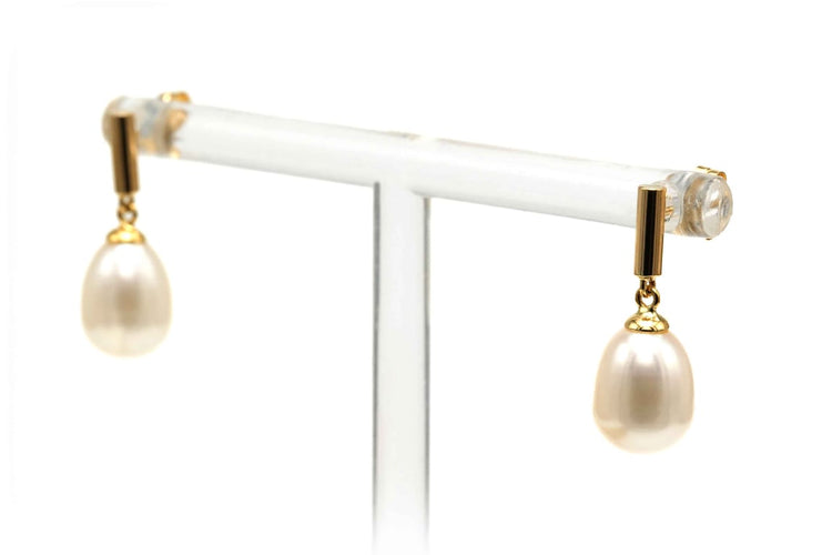 3e33019f-a6ed-45b7-886a-0bd764670100