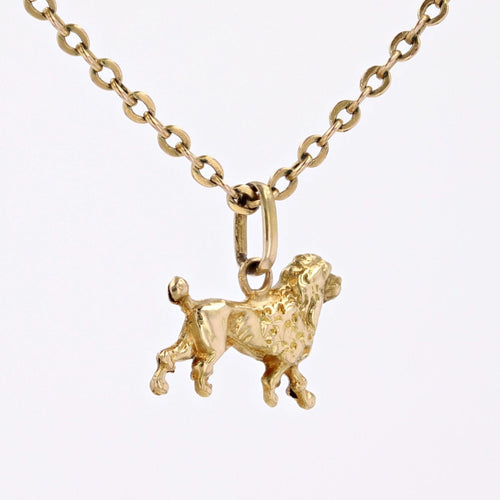 https://www.bijouxbaume.com/upload/image/pendentif-caniche-or-p-image-156062-grande.jpg