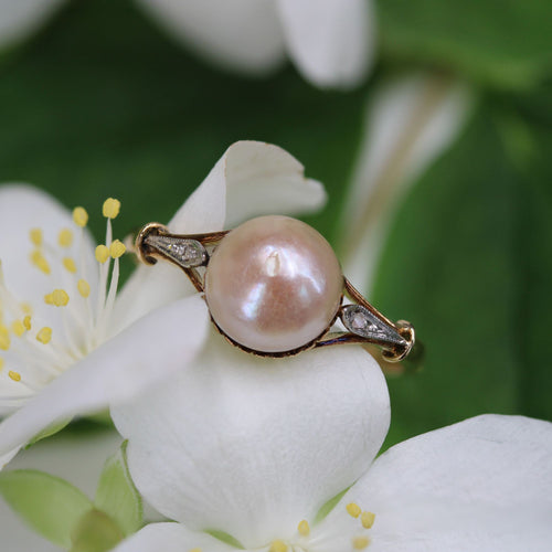 https://www.bijouxbaume.com/upload/image/bague-ancienne-perle-et-diamants-tailles-en-rose-p-image-155796-grande.jpg