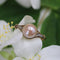 https://www.bijouxbaume.com/upload/image/bague-ancienne-perle-et-diamants-tailles-en-rose-p-image-155796-grande.jpg