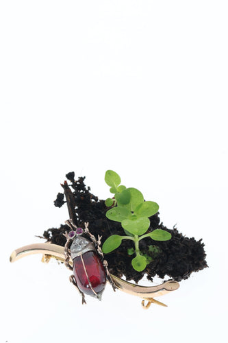 Broche Broche scarabée victorienne française, un insecte vif en grenat, rubis et diamants 58 Facettes 26050-0210