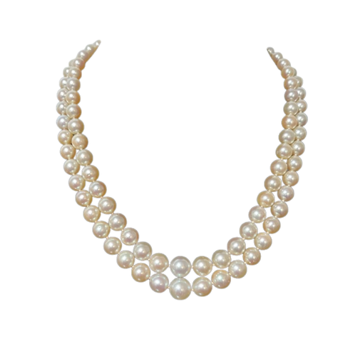 bd40640c-0681-4999-dd0d-5bd3aae98100