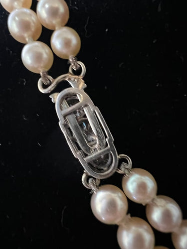 b4daf460-fcdc-48b1-d079-d3d238672a00