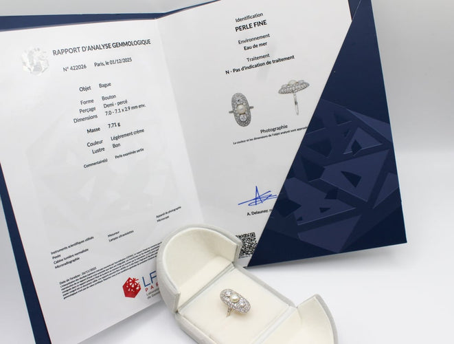 f8555461-47f0-4cca-715e-034f6ee4d200