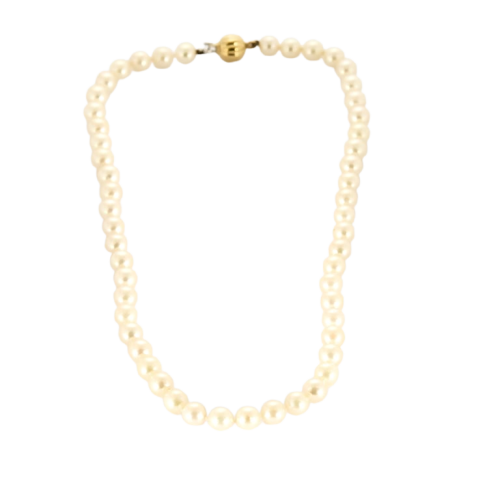 c0480d26-dbc3-4368-cbd3-cc6554fc6c00