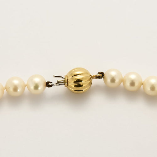 8c4c07c0-f5d3-4cdc-def0-438ce2126b00