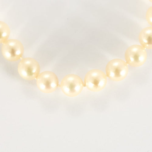 b3c58bca-fc74-4146-8e11-53b34cfdae00