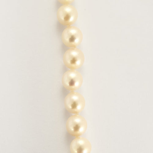 277028d1-7a9d-434f-cf84-ccf46dd4d700