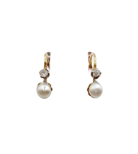 f7c9d3ca-d9f8-4040-bf01-514cfc41ea00