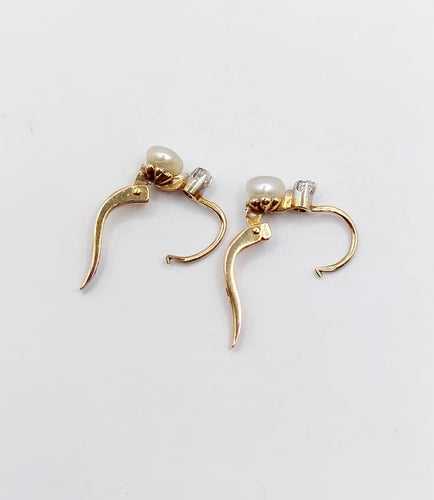 d04bfce9-1cd0-4c12-10e0-cbfd98225900