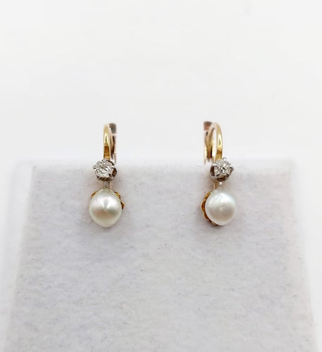 fce25dc6-b59d-4bb0-cdaf-c2dc7fbdb500