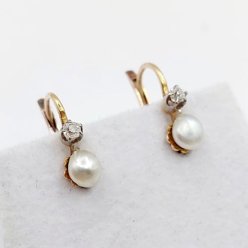 753a50ed-6512-4cbf-1ebd-98b6d8cbab00